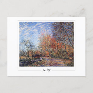 Alfred Sisley #372 - Fine Art Postcard
