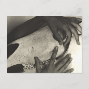 Alfred Stieglitz - Georgia O'Keeffe - Hands And Ho Postcard