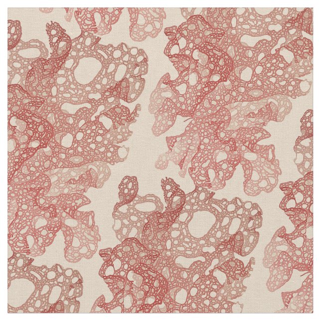 Algae Fabric (Close Up)