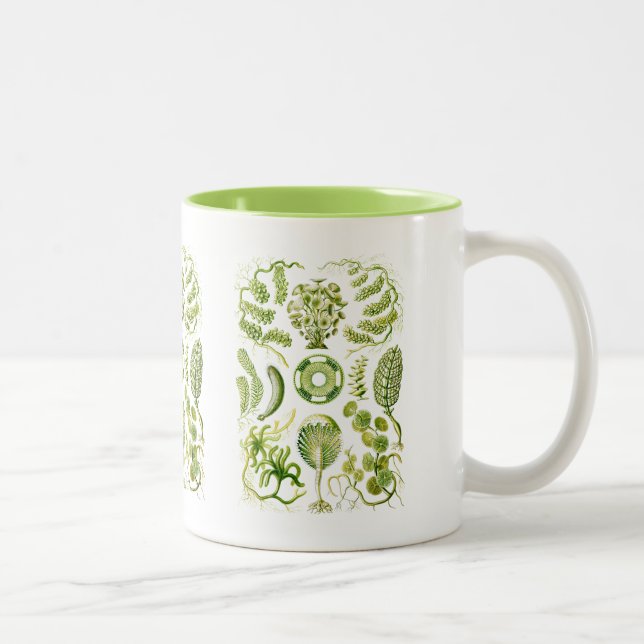 Algae Two-Tone Coffee Mug (Right)