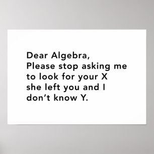 Algebra and his X Poster