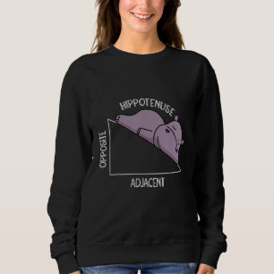 algebra math student math teacher hippotenuse sweatshirt