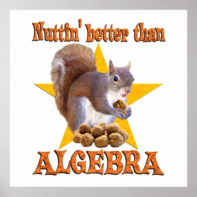 Algebra Squirrel Poster (Front)