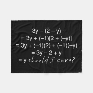 Algebra Why Should I Care Humour Fleece Blanket