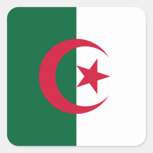 Algeria (Algerian) Flag Square Sticker