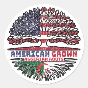 Algeria Algerian US American USA United States Classic Round Sticker