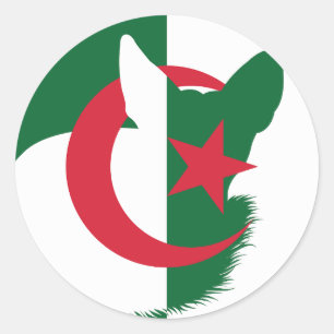 Algeria Fennec Fox Algerian National Animal Flag Classic Round Sticker