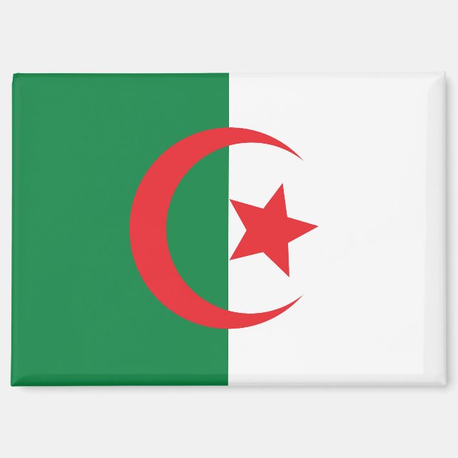 algeria flag magnet (Front)