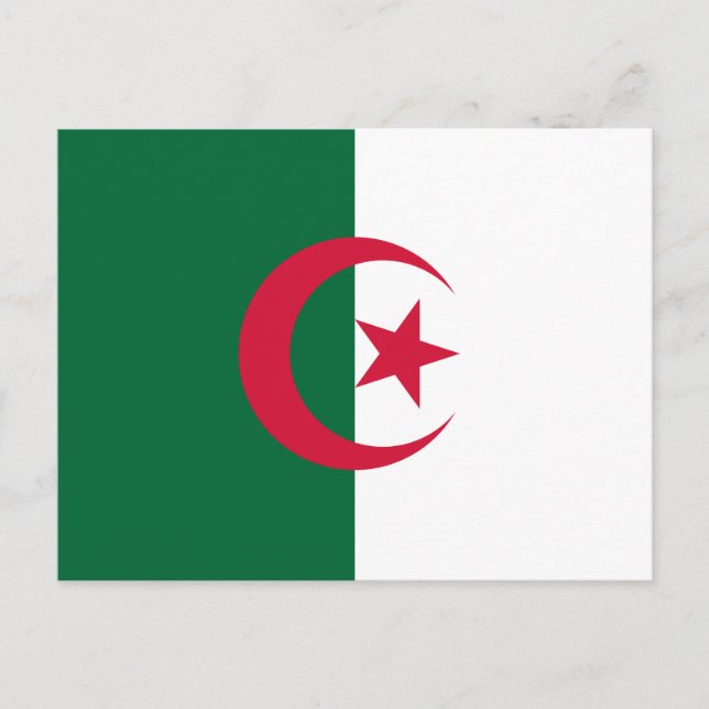 Algeria Flag Postcard (Front)