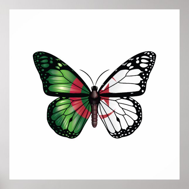 Algeria Monarque Butterfly Flag Poster (Front)