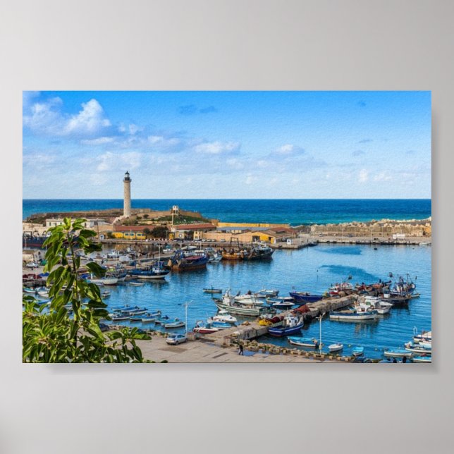 Algeria Poster (Front)