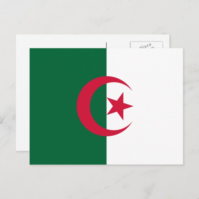 Algerian Flag, Flag of Algeria Postcard (Front/Back)