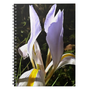 Algerian Iris Hyperrealistic Wildflower Painting Notebook