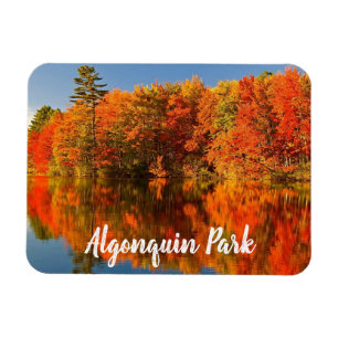 Algonquin Park Canada Fall stylised Magnet
