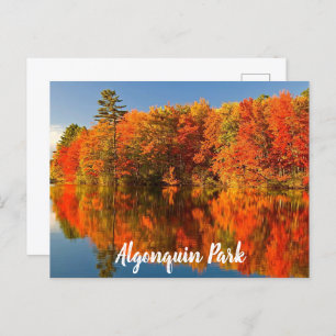 Algonquin Park Canada Fall stylized Postcard
