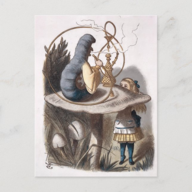  ALICE and Caterpillar  Postcard (Front)