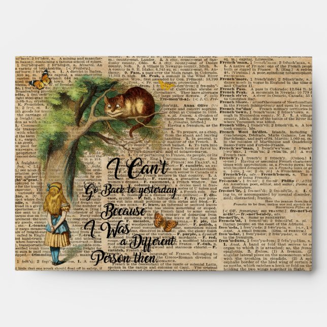 Alice and Cheshire Cat Quote Dictionary Art Envelopes (Front)