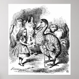Alice and the Dodo Poster