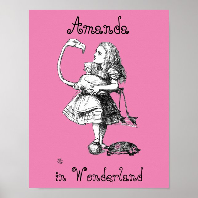 Alice and the Flamingo ( pink bkgrd ) Poster (Front)