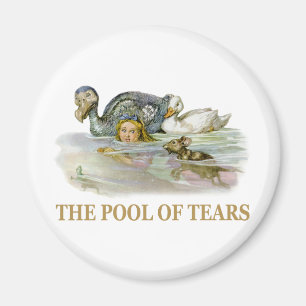 Alice and the pool of tears magnet