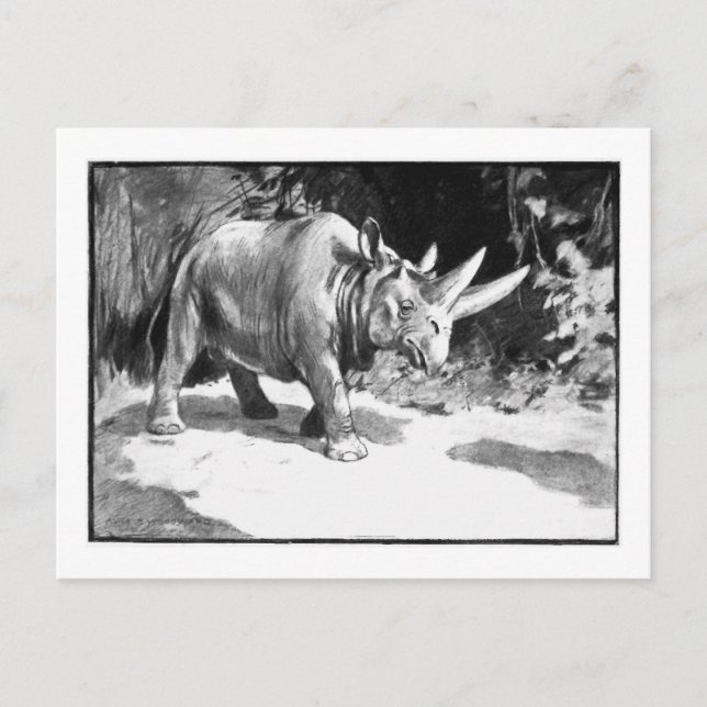 Alice B. Woodward: Arsinoitherium art postcard (Front)