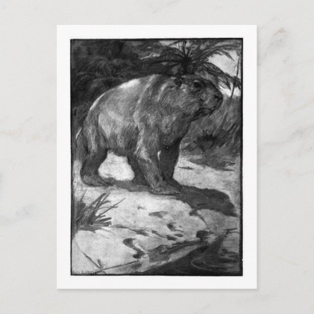 Alice B. Woodward: Diprotodon art postcard (Front)