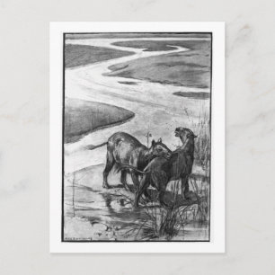 Alice B. Woodward: Hyracotherium art postcard