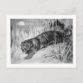 Alice B. Woodward: Machaerodus art poscard Postcard