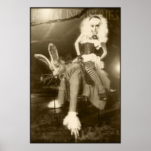 Alice in Brutal Land Poster