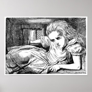 Alice in the White Rabbit's House Poster