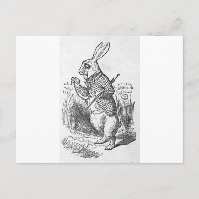 Alice in Wonderland 2.5 Postcard (Front)