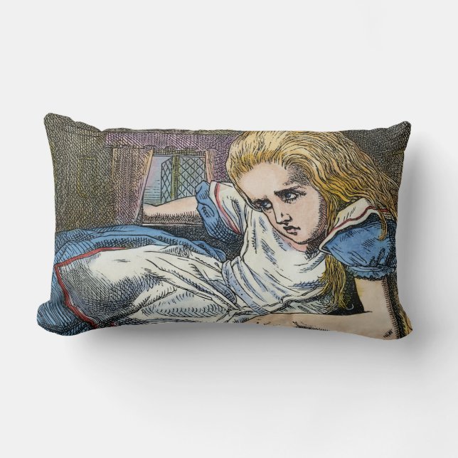 ALICE IN WONDERLAND LUMBAR CUSHION (Front)