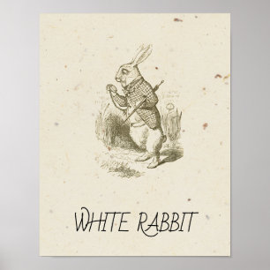 Alice in Wonderland - WHITE RABBIT Poster