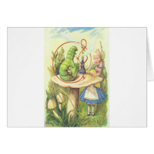 Alice Meets the Caterpillar