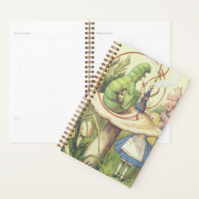 Alice Meets the Caterpillar Planner (Display)