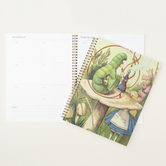 Alice Meets the Caterpillar Planner (Display)