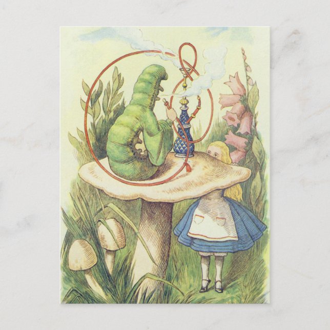 Alice Meets the Caterpillar Postcard (Front)