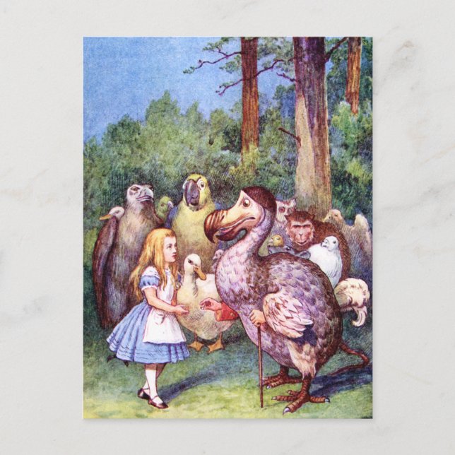 ALICE MEETS THE DODO BIRD POSTCARD (Front)