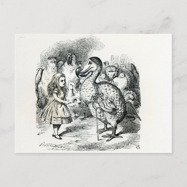 Alice meets the Dodo Postcard (Front)