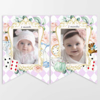Alice Onederland, 1st birthday Monthly photo