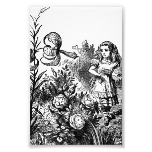 Alice Talks with Garden Flowers Photo Print