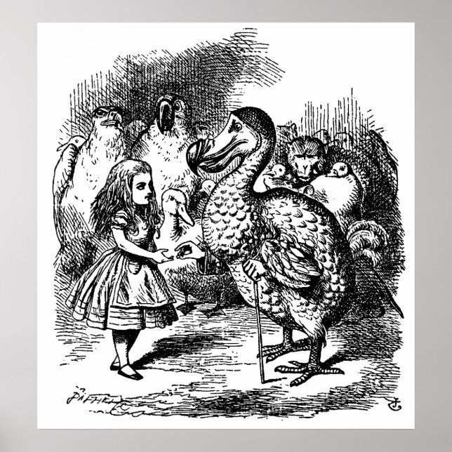 Alice's Adventures in Wonderland Illustration Poster (Front)