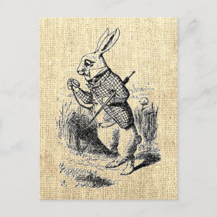Alice's White Rabbit Vintage Illustration Postcard