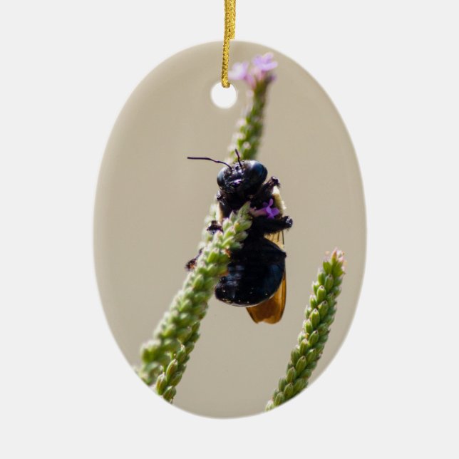 Alien Circus Bee Ceramic Tree Decoration (Front)