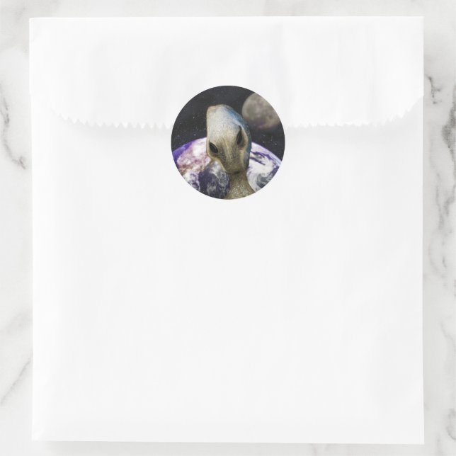 Alien Destination: Earth Classic Round Sticker (Bag)