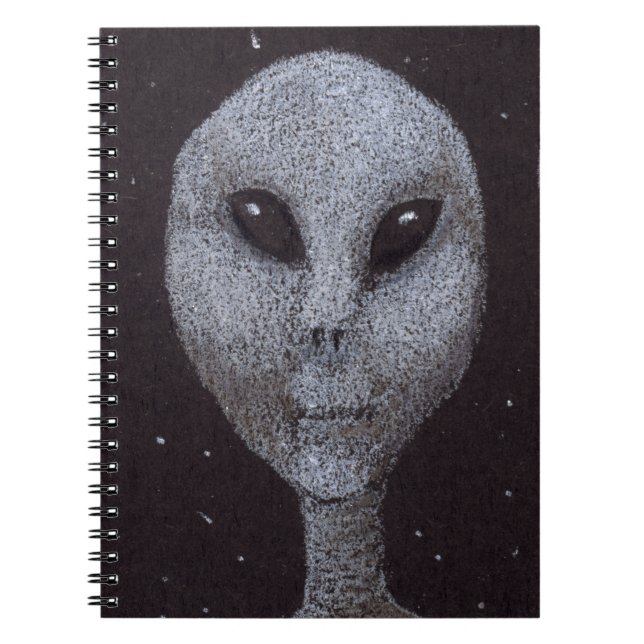 Alien Greys Spiral Notebook (Front)