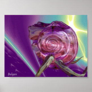 ALIEN NEREIDE /NYMPH OF WATER,PINK SEASHELL Sci-Fi Poster
