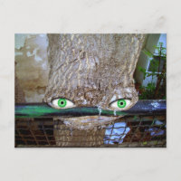 Alien tree