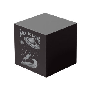 alien ufo surfing illustration with back to home cube
