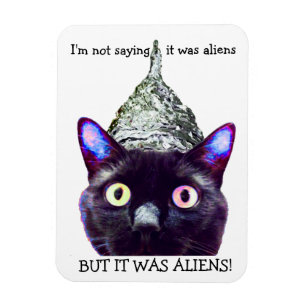 Aliens! Cat magnet